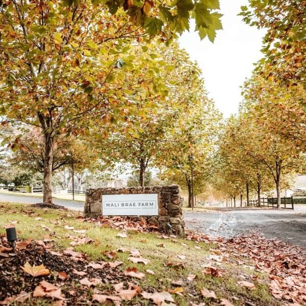 Mali Brae Farm Entrance Photo by Red Berry Photography