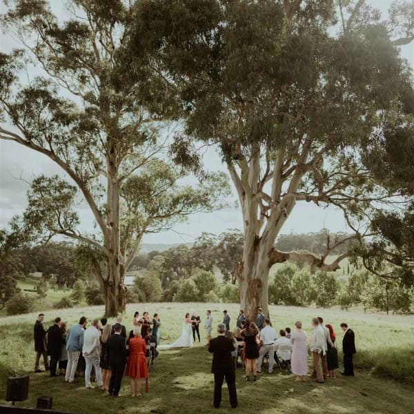 Ceremony under the Gumtrees - Photo By Alex Olguin