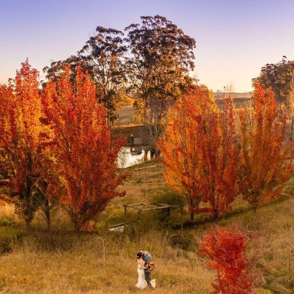Autumn in the Gardens - Photo by Gavin Cato