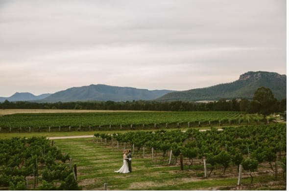 Bride & Groom in the Vines