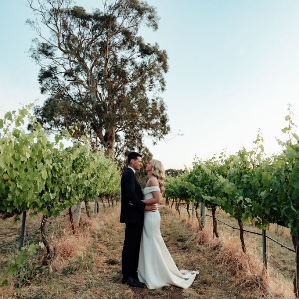 Vineyards with a city view