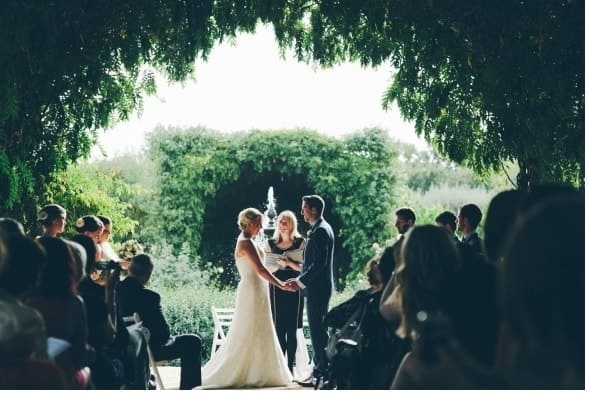 Gorgeousness at Alowyn Gardens