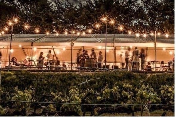 The Curly Goose. photo credit Glen Anderson