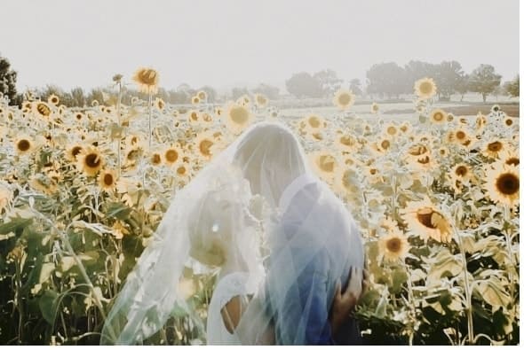 Emma & Logan - Kingscliff Sunflowers
