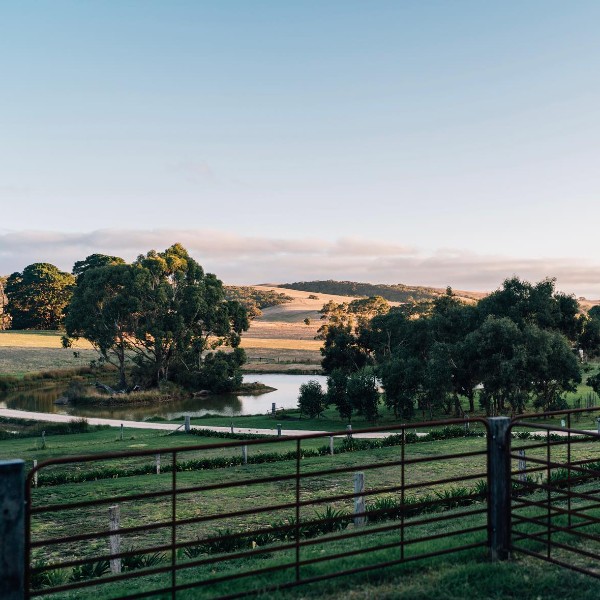 Mt Beare Station - Wedding Venue