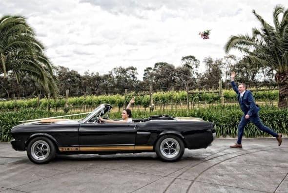 Mustangs in Black 1966 Shelby GT350H Convertible Mustang at Potters Receptions. Photo by A Touch of Flash.