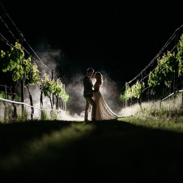 Kiss in the Vines at Night