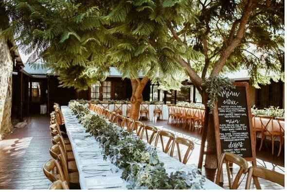 Nectarine Photography