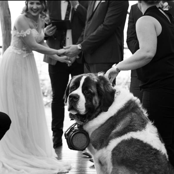 Ring Bearer