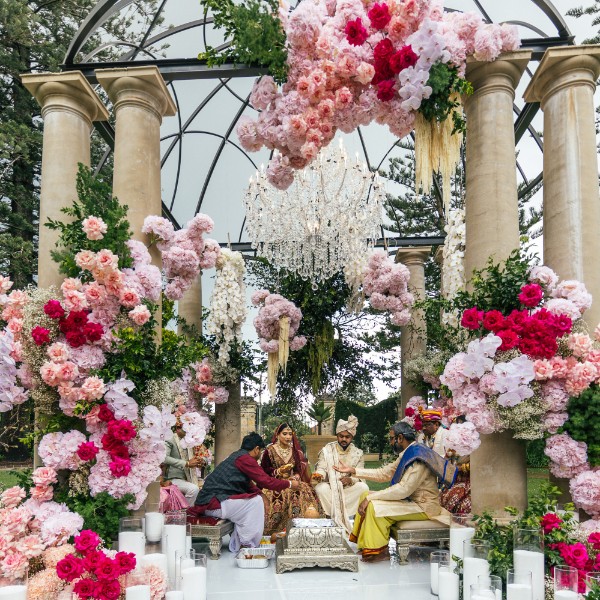 Shailini & Nikhil's Wedding