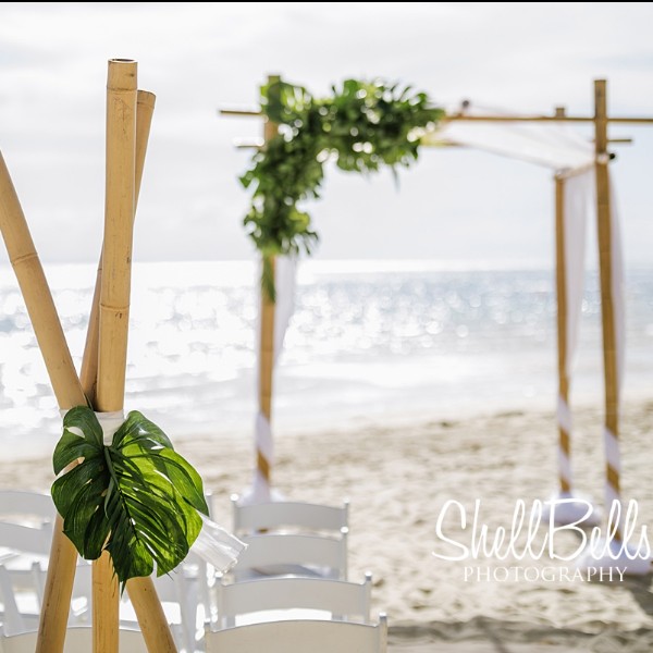 ShellBells Photography