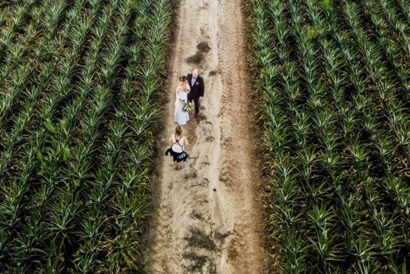 Just another day in the office !