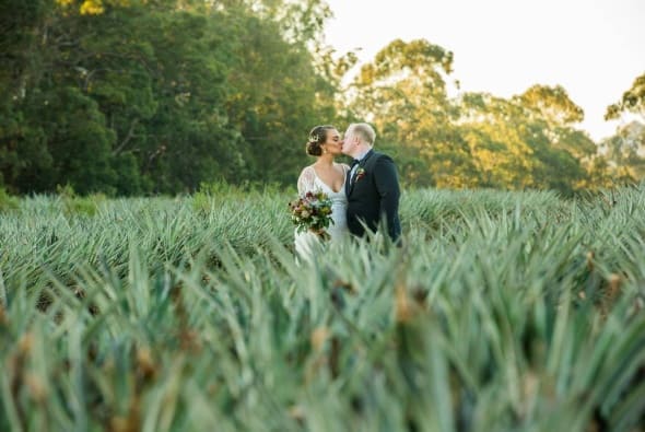 Kiss in the Pineapple fields