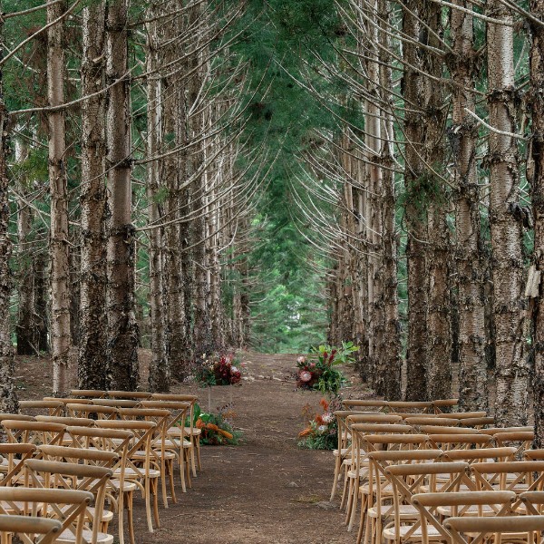Pineforest ceremony