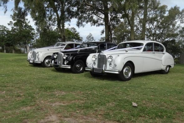 Jaguar Wedding Cars Brisbane - Tic Tac Tours