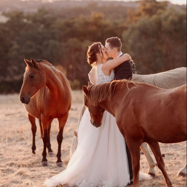 Timless Moments of Us Adelaide Wedding Photographer