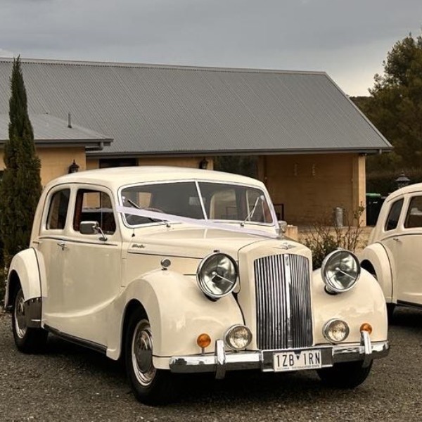 Josie White Austin Sheerline