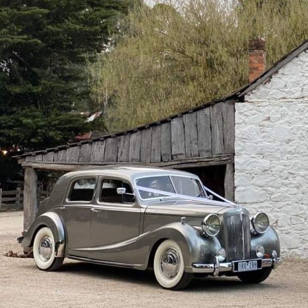 Winni Silver Austin Sheerline