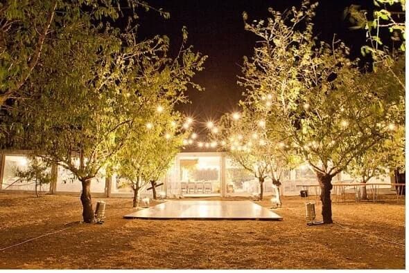 Willunga Almond Orchards