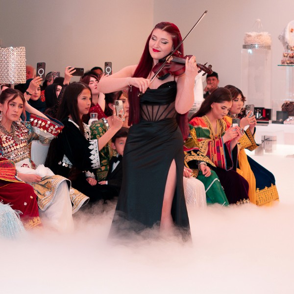 violin sparkle abia fior