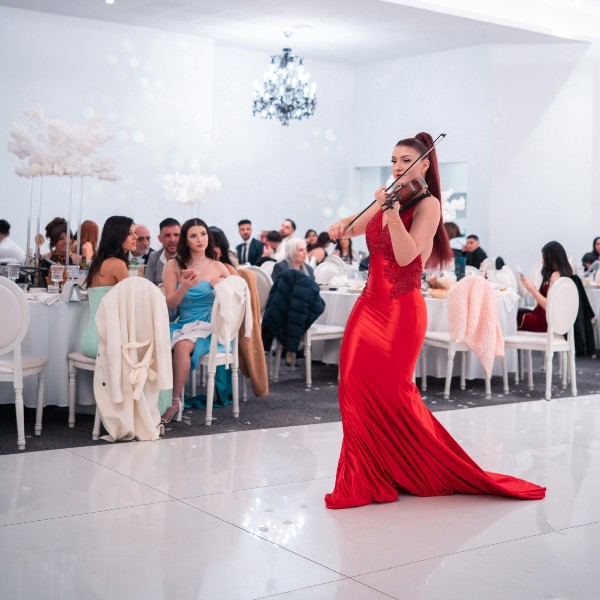 Wedding Violinist