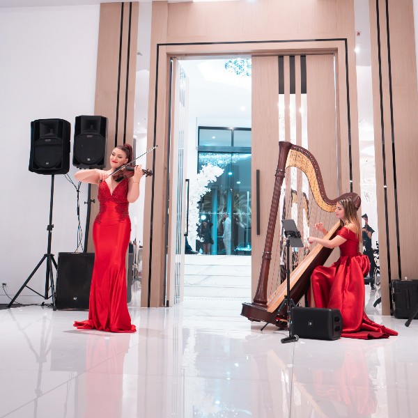 Melbourne wedding violinist