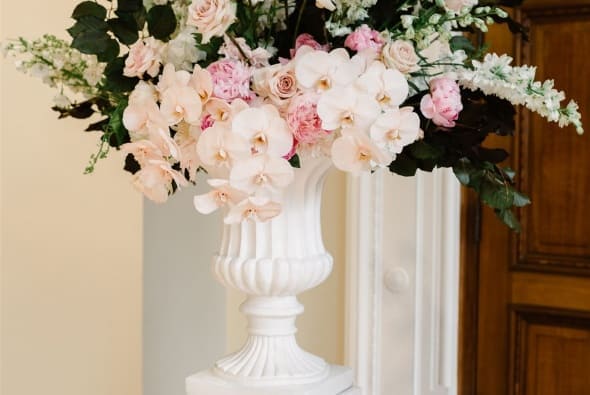 Blossom Daisy Creative Photography