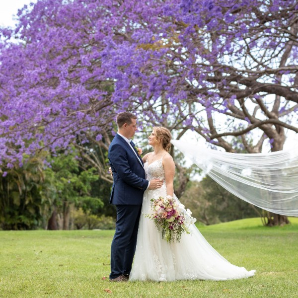 Spring weddings with our jacarandas