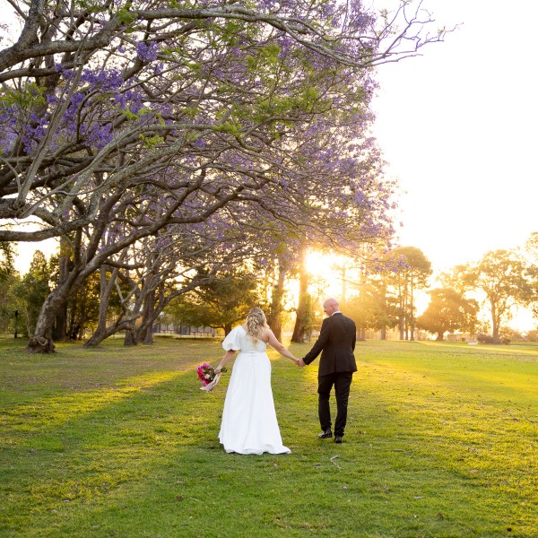 Jacarandas at sunset in spring