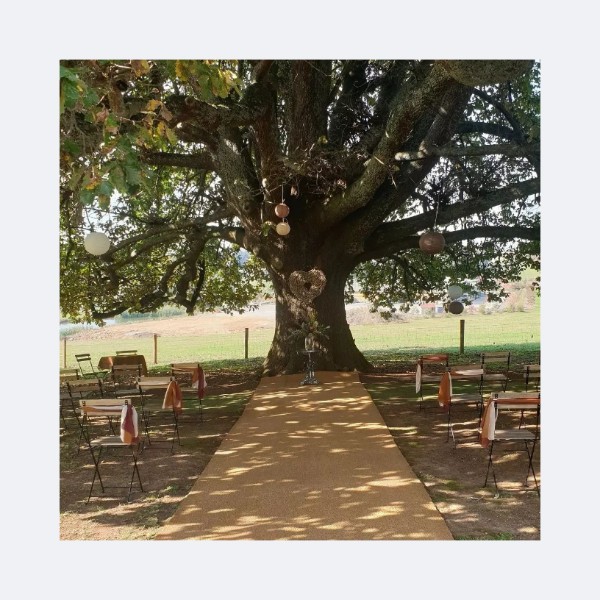Wandin Gardens Venue - 180 year old Oak