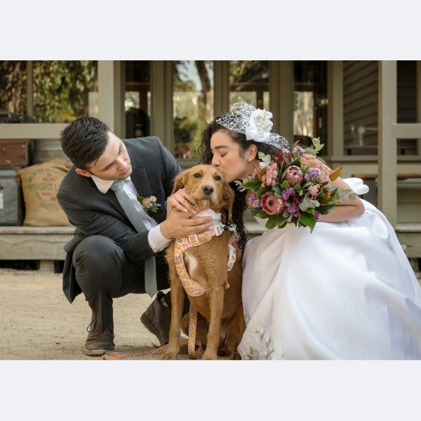 The Hitching Post Venue